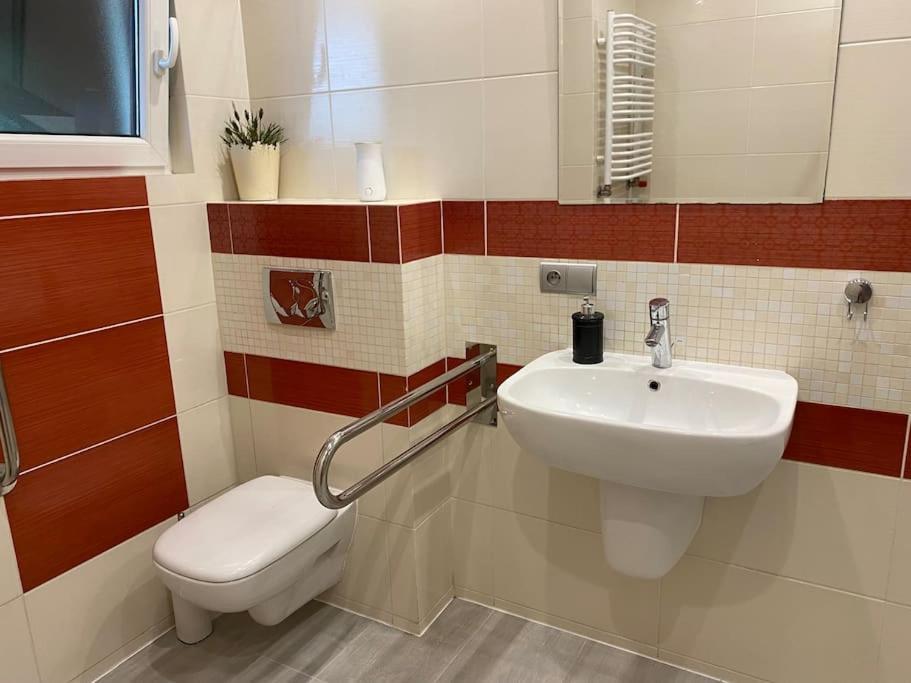 4 Bedroom Family House With Access To A Hot Tub Goczałkowice-Zdrój Esterno foto