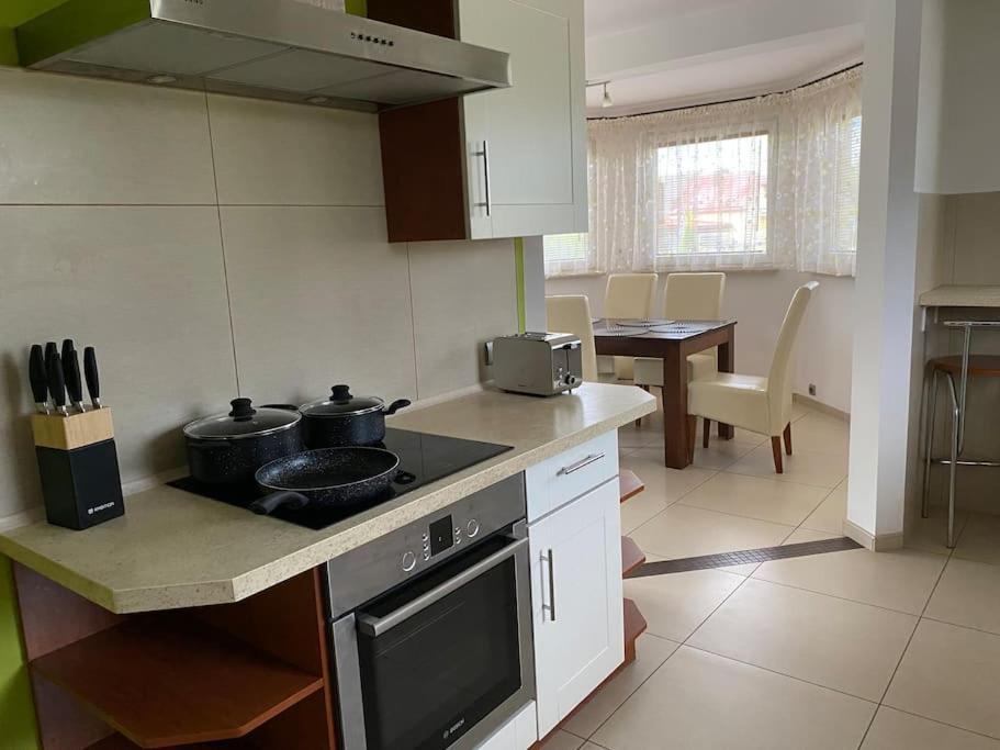 4 Bedroom Family House With Access To A Hot Tub Goczałkowice-Zdrój Esterno foto
